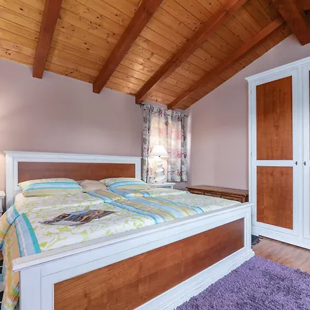 Shirin Mit Pool, Jacuzzi Und Kamin Holiday home Porec